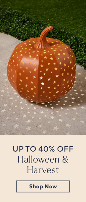 halloween and harvest sale