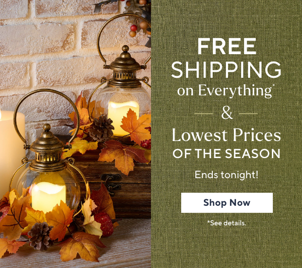 Free Shipping on Everything