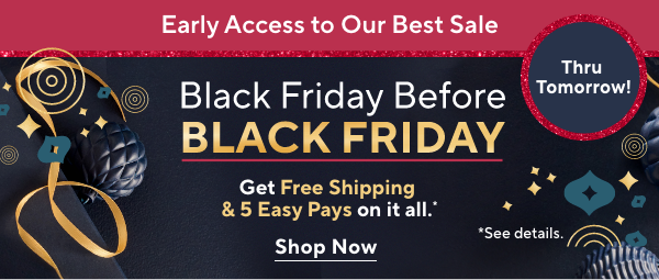 Black Friday Sale 