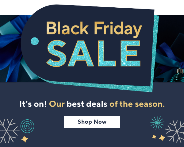 Black Friday Sale 