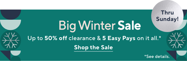 Big Winter Sale 