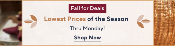 Daily Deals