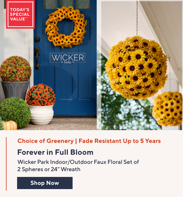 Wicker Park TSV 