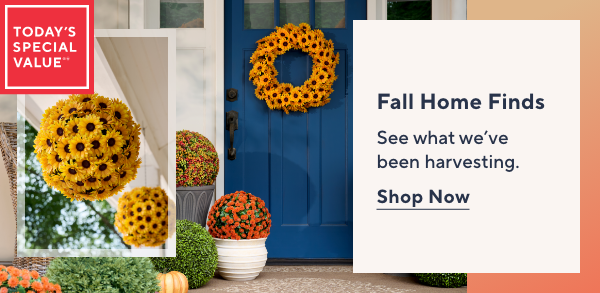 fall home finds