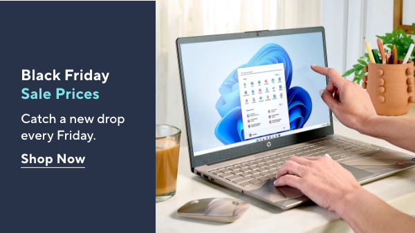 Black Friday Sale Prices