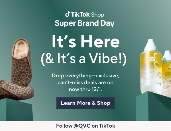TikTok Brand Day 