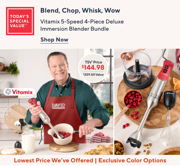 Vitamix TSV
