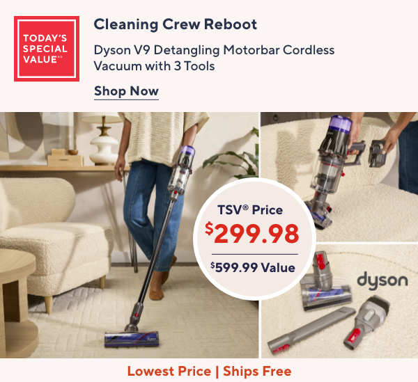 Dyson TSV