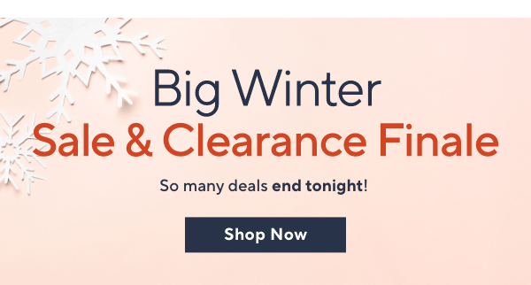 big winter sale 