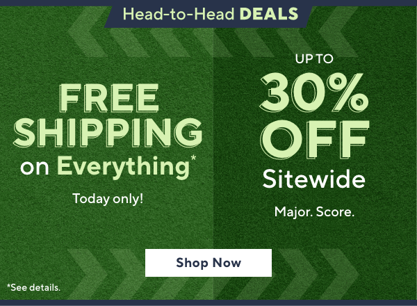 free shipping on everything / up to 30% off sitewide