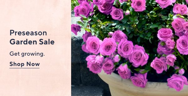 preseason garden sale
