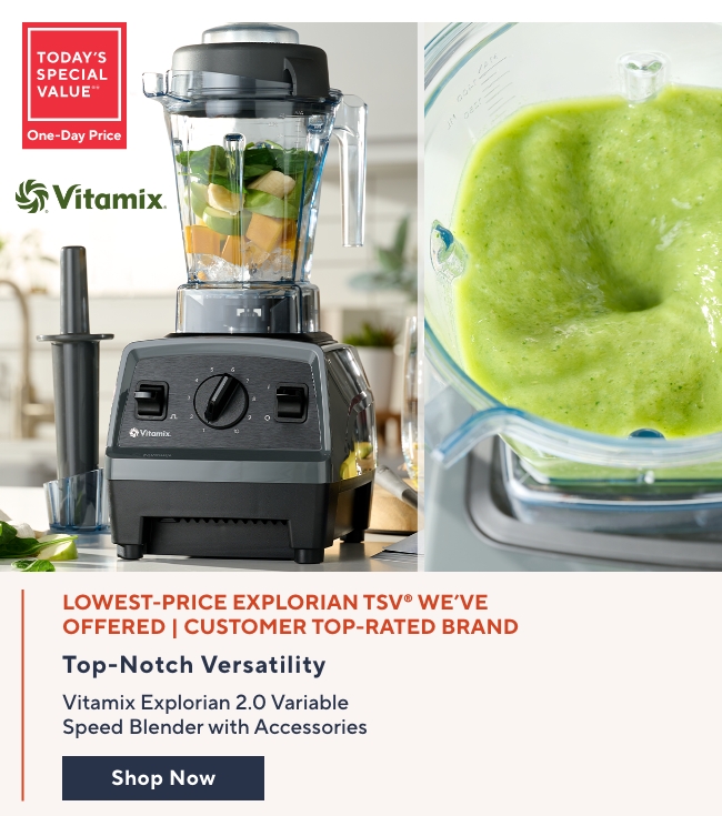 Vitamix TSV 