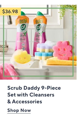 Scrub Daddy 