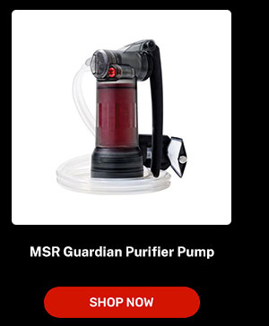 Guardian Purifier