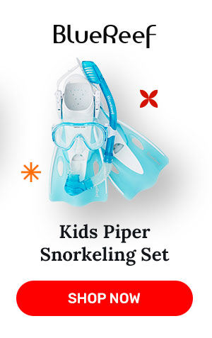 Blue Reef Kids Piper Snorkeling Set | Shop Now