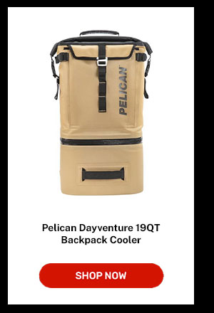 Pelican Dayventure 19QT | Shop Now