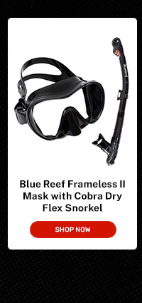 Blue Reef Frameless II Mask | Shop Now