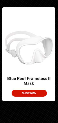 Blue Reef Frameless II | Shop Now