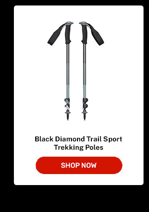 Trekking Poles