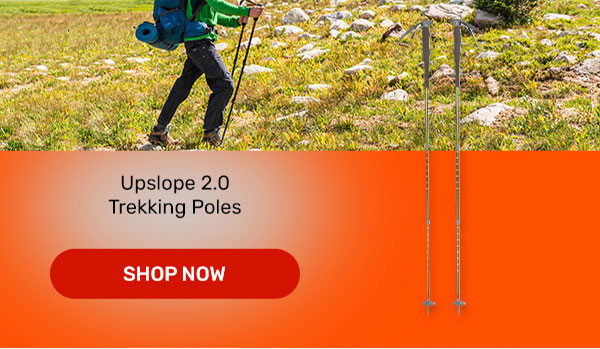 2.0 Trekking Pole