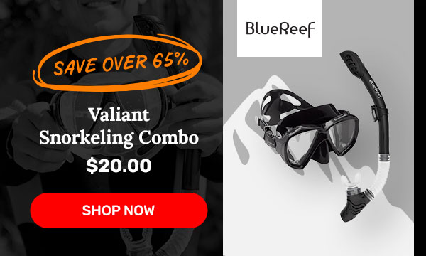 Blue Reef Valiant Snorkeling Combo | Shop Now