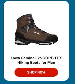 Lowa Camino Evo GORE-TEX Hiking Boots for Men Brown/Graphite 10