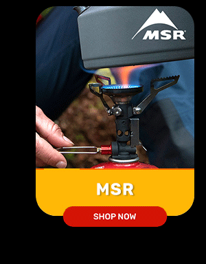 MSR