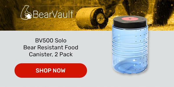 BearVault Solo Bear - SHOP NOW