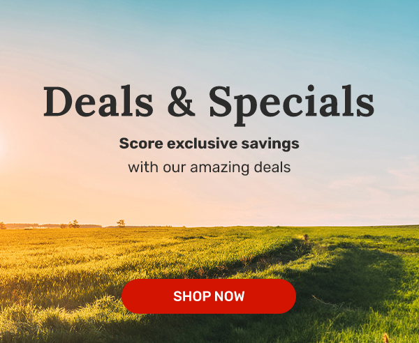 Deals & Specials | Shop Now