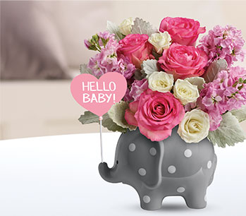 Teleflora's Hello Sweet Baby - Pink