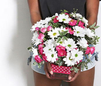 Teleflora's Polka Dots and Posies