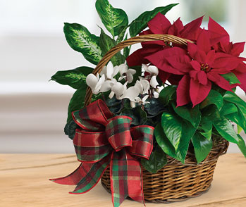 Holiday Homecoming Basket