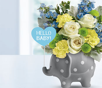 Teleflora's Hello Sweet Baby - Blue