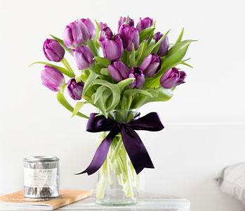 Passionate Purple Tulips