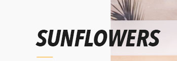 SUNFLOWERS