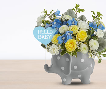 Teleflora's Hello Sweet Baby - Blue