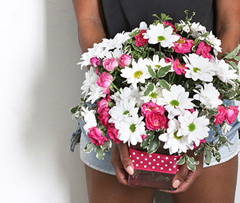 Teleflora's Polka Dots and Posies