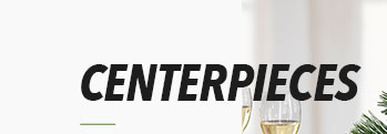 CENTERPIECES