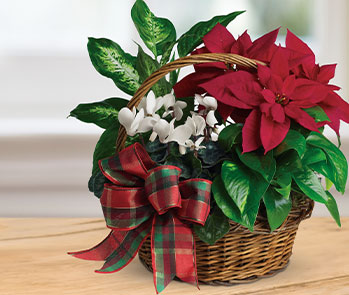 Holiday Homecoming Basket