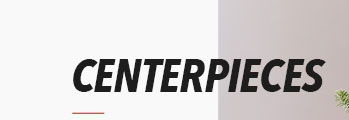 CENTERPIECES