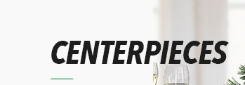 CENTERPIECES