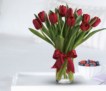 Radiantly Red Tulips