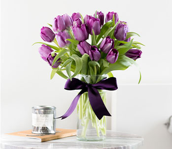 Passionate Purple Tulips