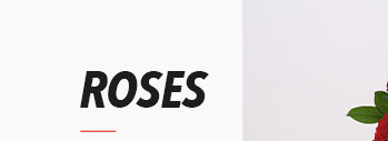 ROSES
