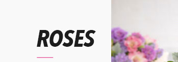 ROSES