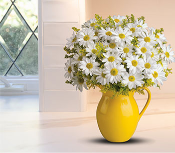 Teleflora's Sunny Day Pitcher of Daisies