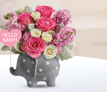 Teleflora's Hello Sweet Baby - Pink