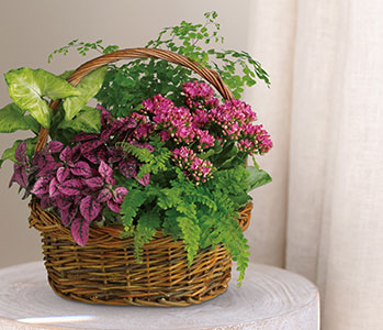 Secret Garden Basket