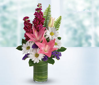 Teleflora's Playful Daisy Bouquet