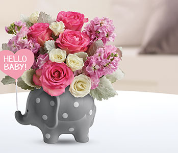 Teleflora's Hello Sweet Baby - Pink